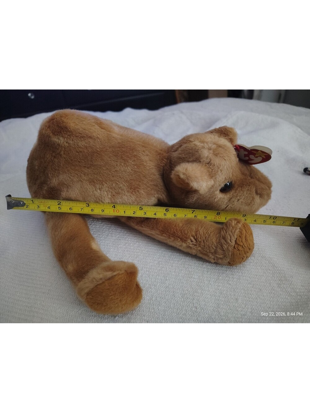 Humphrey Beanie Baby Camel Plush Toy with Tag